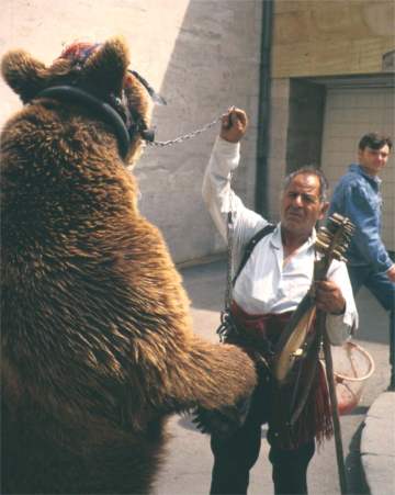 gypsybear.jpg (22475 bytes)